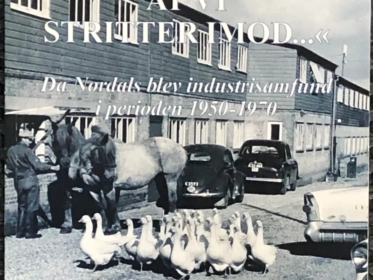 Billede 1 - Det nytter ikke at vi stritter imod