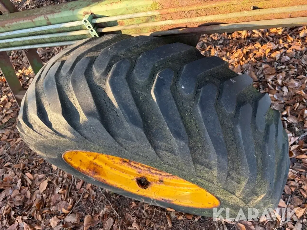 Billede 12 - Ruerenser Thyregods