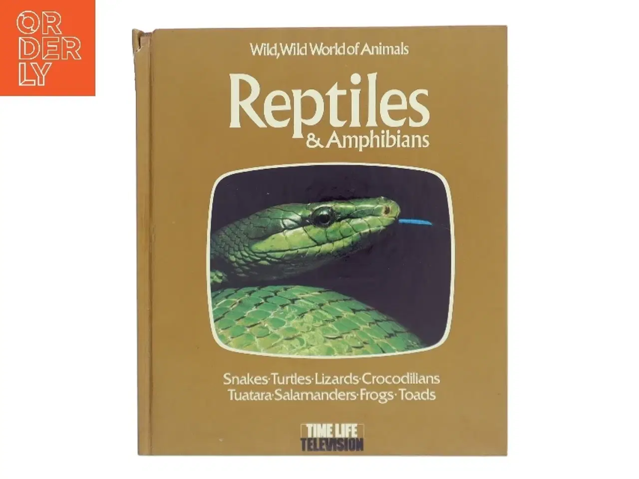 Billede 1 - Reptiles & Amphibians (Bog)
