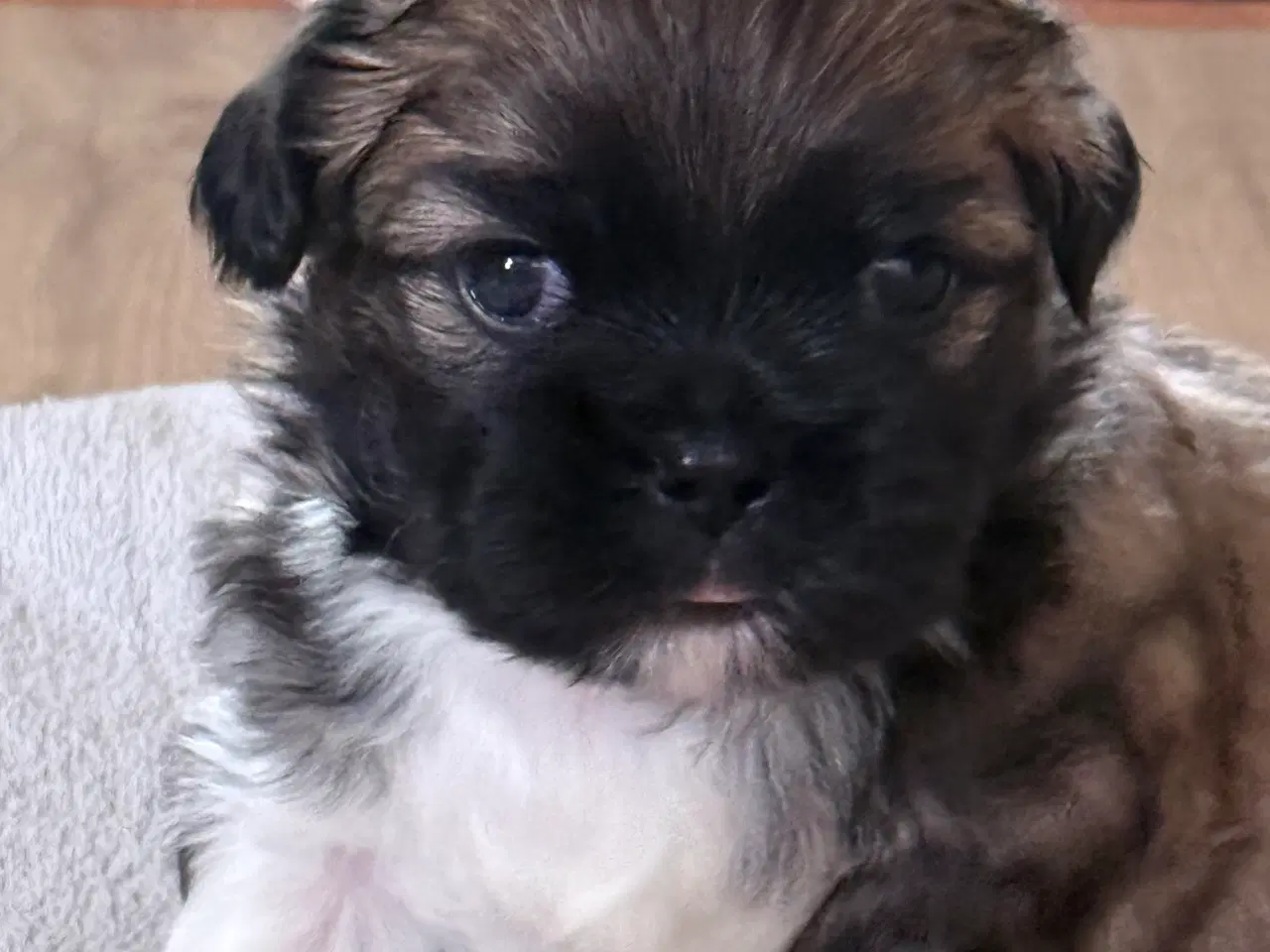 Billede 2 - Allergi venlige bomulds blandinger