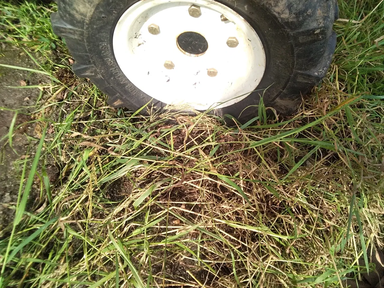 Billede 5 - 6 hk OK m småfejl Byt m Nibbifræser Brugsklar OK 