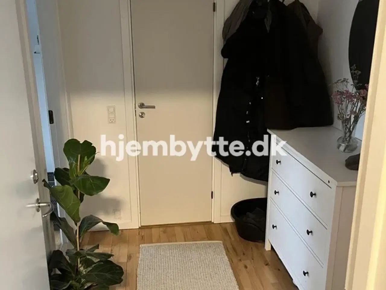 Billede 7 - Hjembytte - LindeAlle