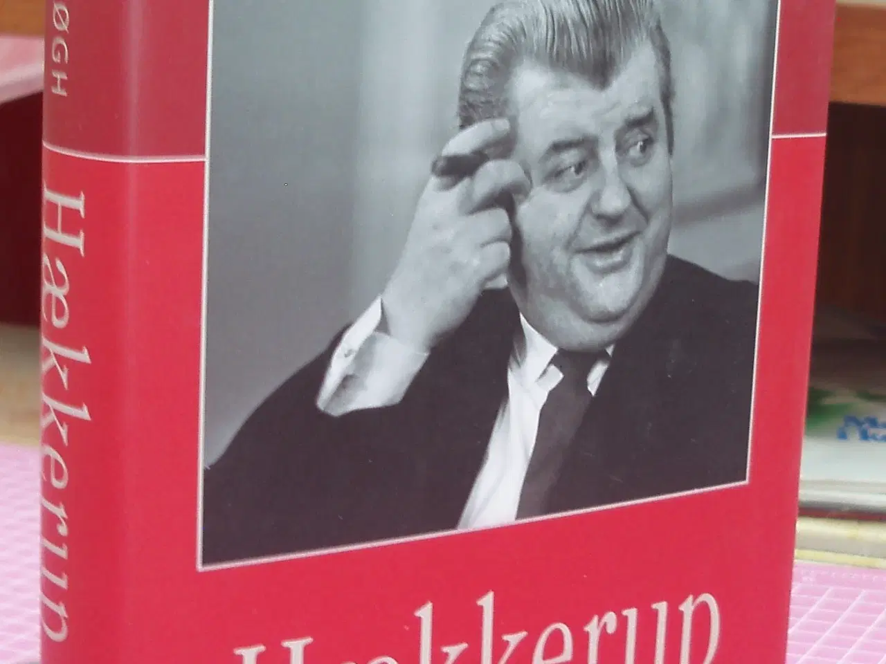 Billede 1 - Hækkerup af Nikolaj Bøgh
