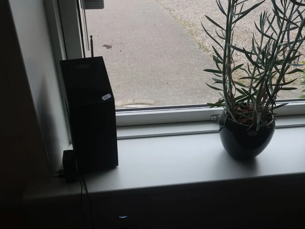Billede 1 - Radio og plante