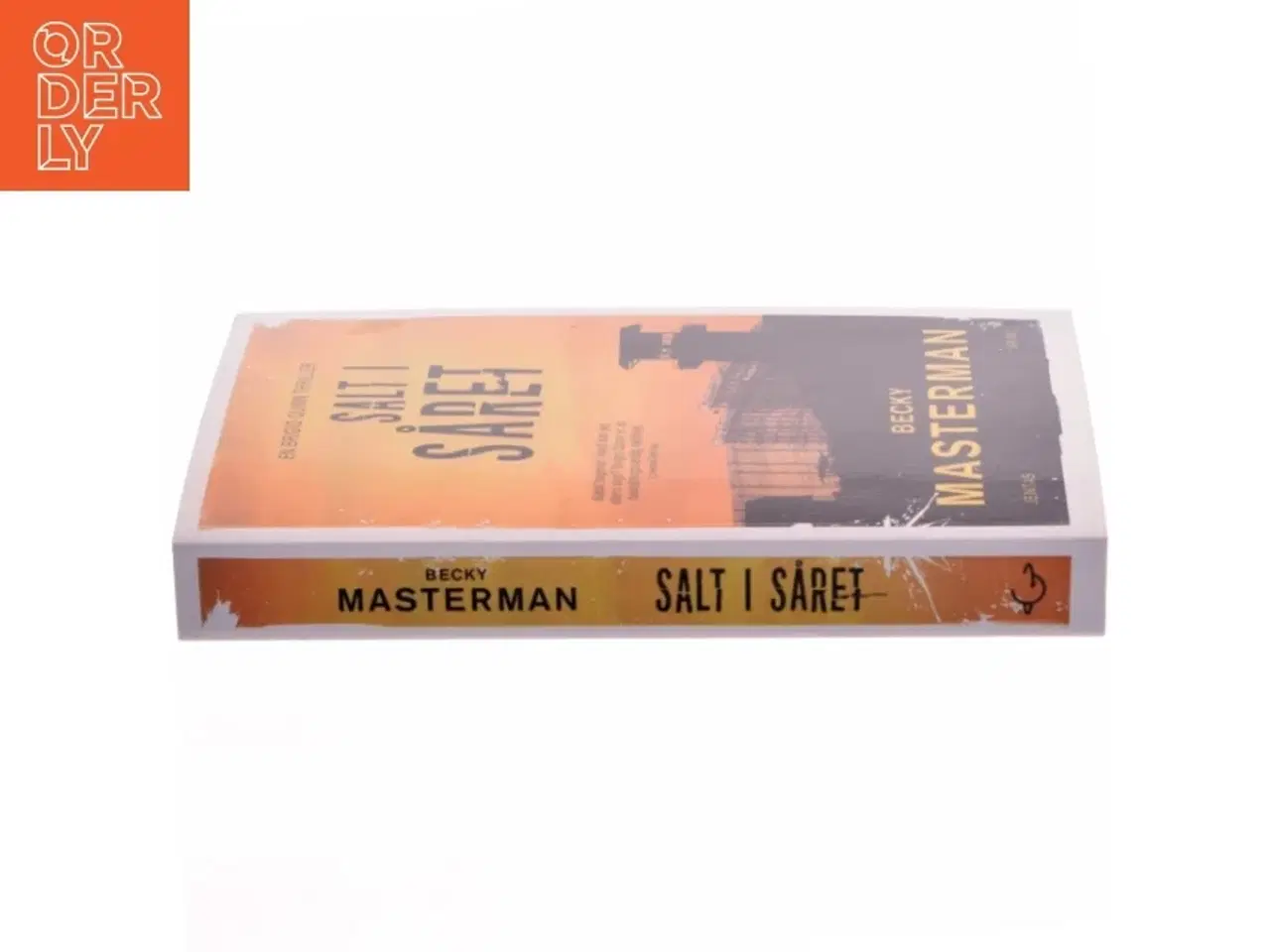 Billede 2 - Salt i såret af Becky Masterman (Bog)