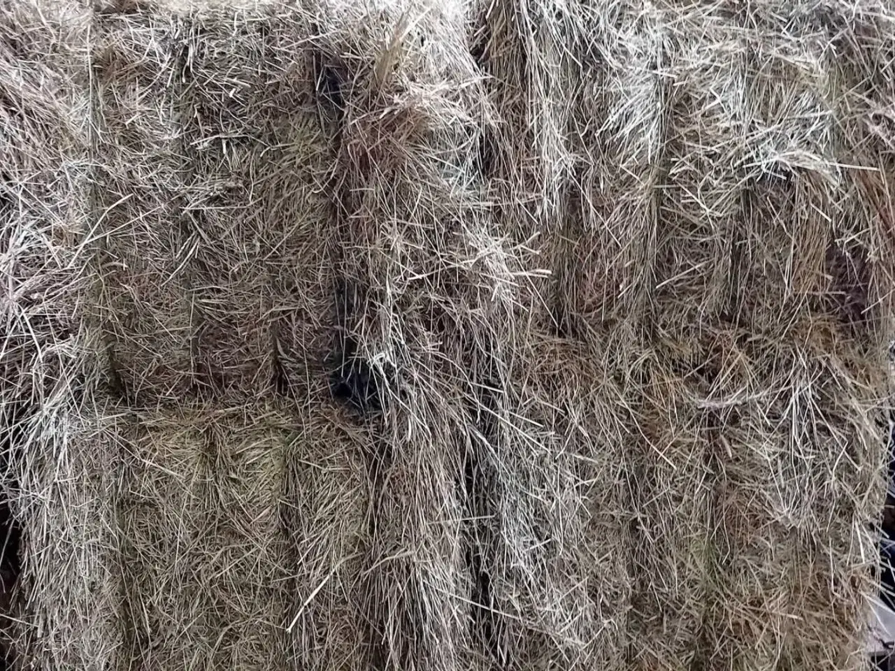 Billede 1 - Hø