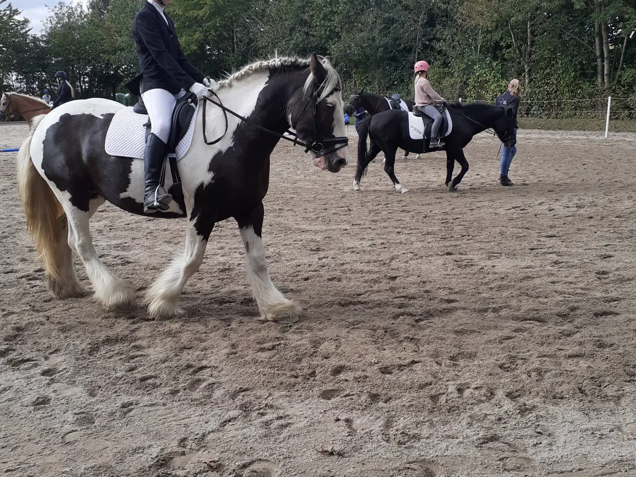Billede 4 - Tinker hoppe 
