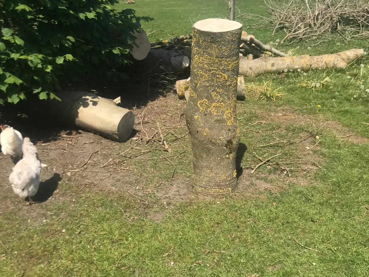 Billede 2 - Sømblok