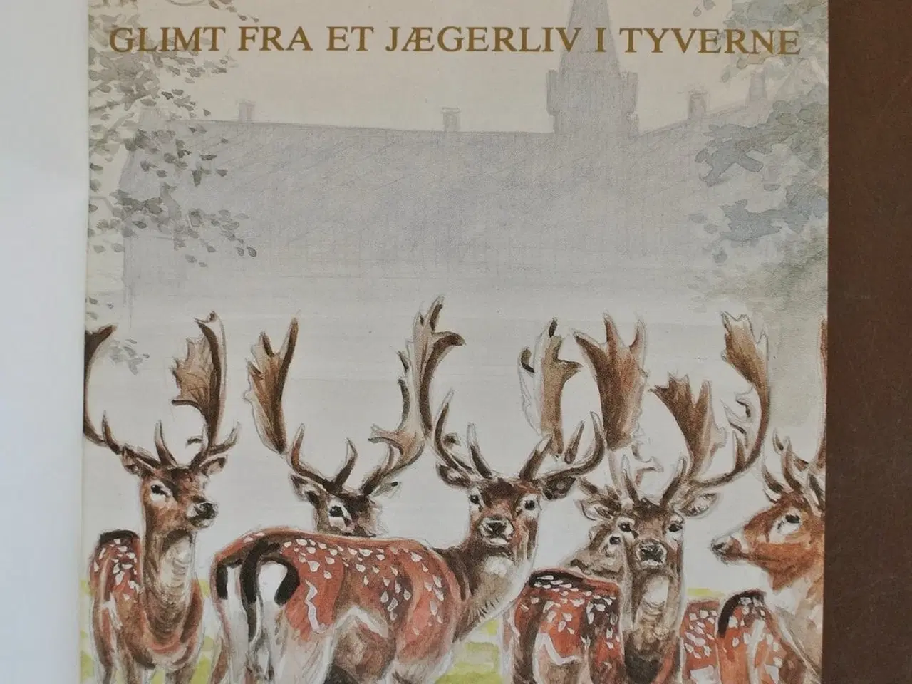 Billede 2 - godsjægeren på tranekjær - glimt fra et jægerliv, 