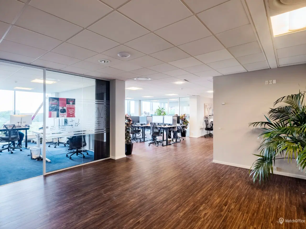 Billede 8 - Med kontor i Parken kan I spille bold med de bedste