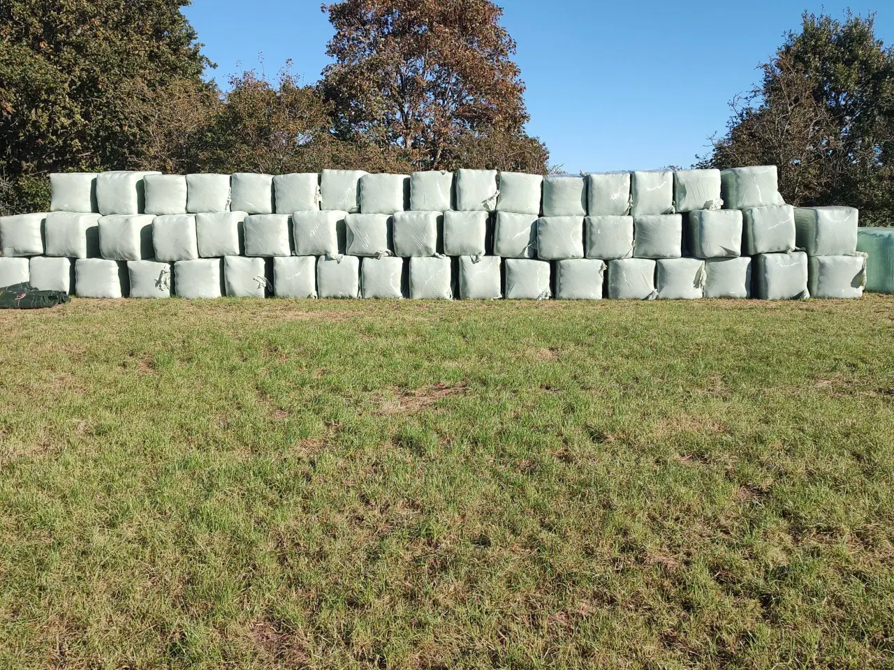 Billede 3 - Wrap til heste 