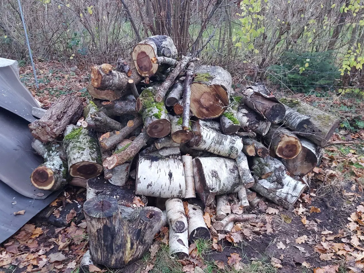Billede 4 - Løvtræ brænde. 