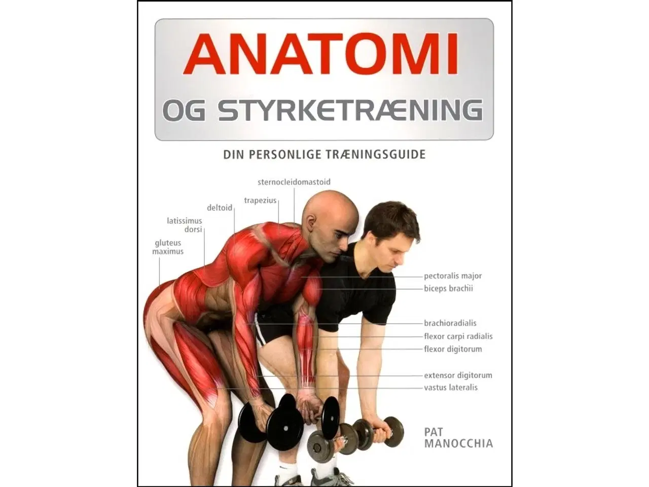 Billede 1 - Anatomi og Styrketræning
