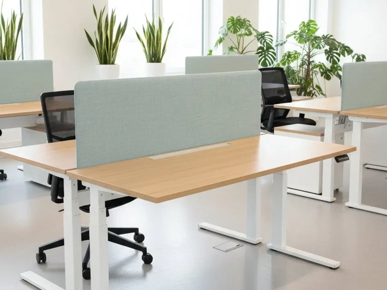 Billede 2 - Bordskærm – Lyseblå 160x80 cm