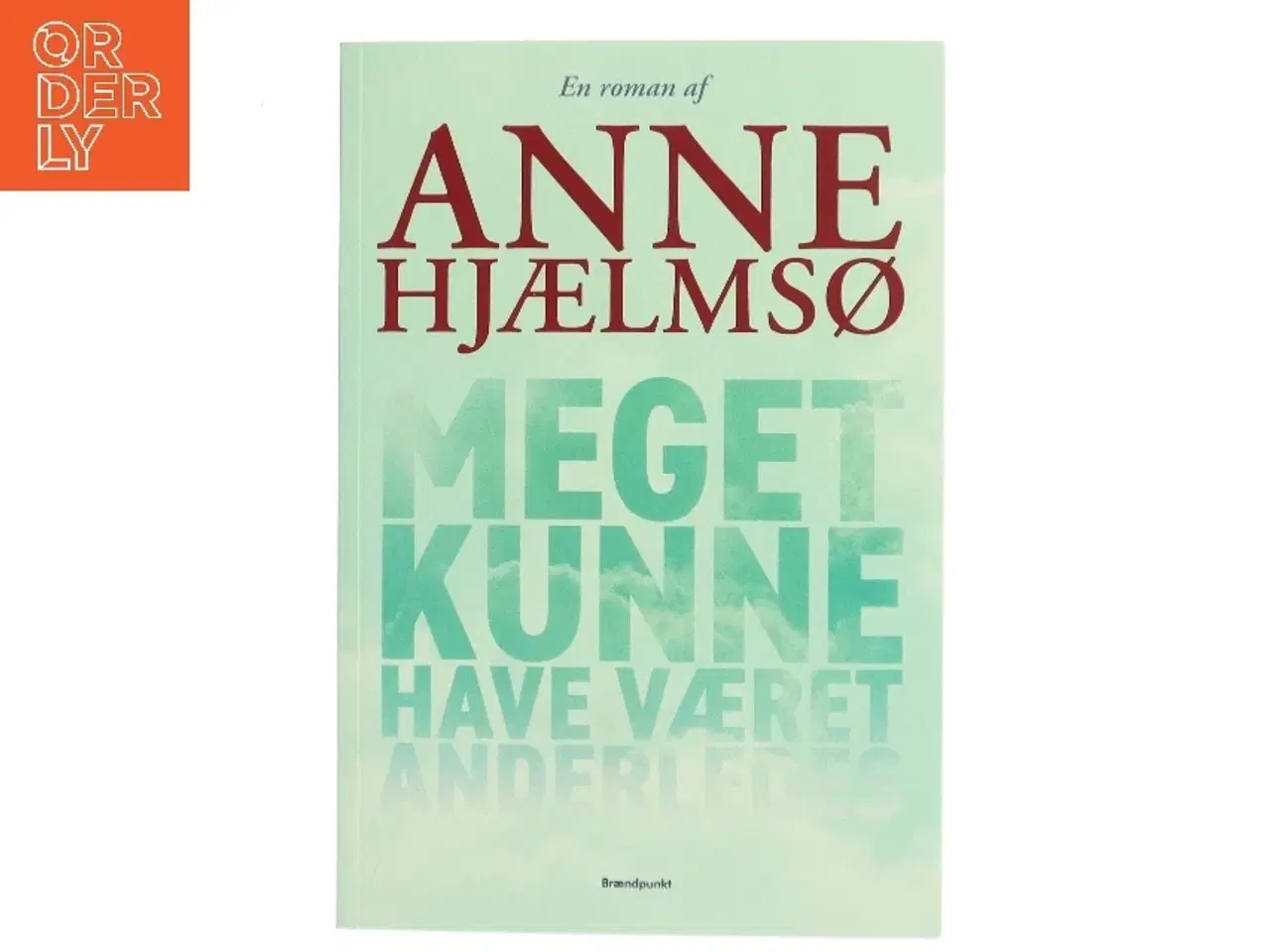 Billede 1 - Meget kunne have været anderledes : roman af Anne Hjælmsø (Bog)