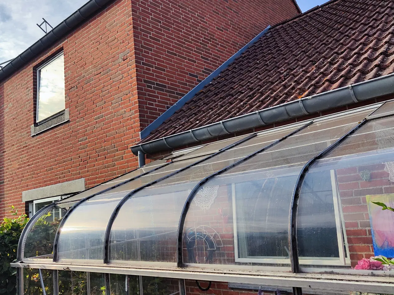 Billede 3 - 🌿 Drivhus gratis mod nedtagning 🌿