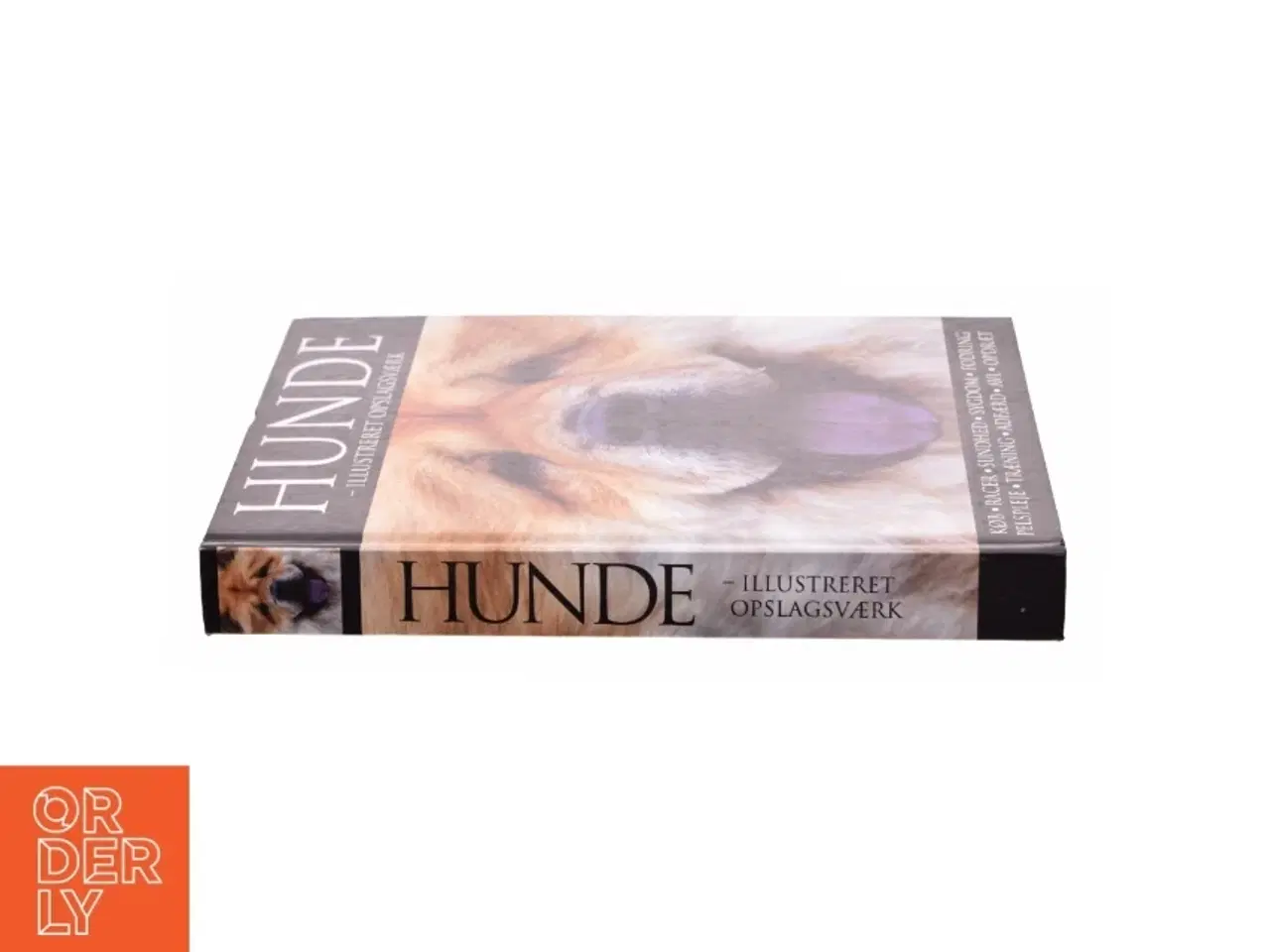 Billede 3 - Hunde - illustreret opslagsværk (Bog)