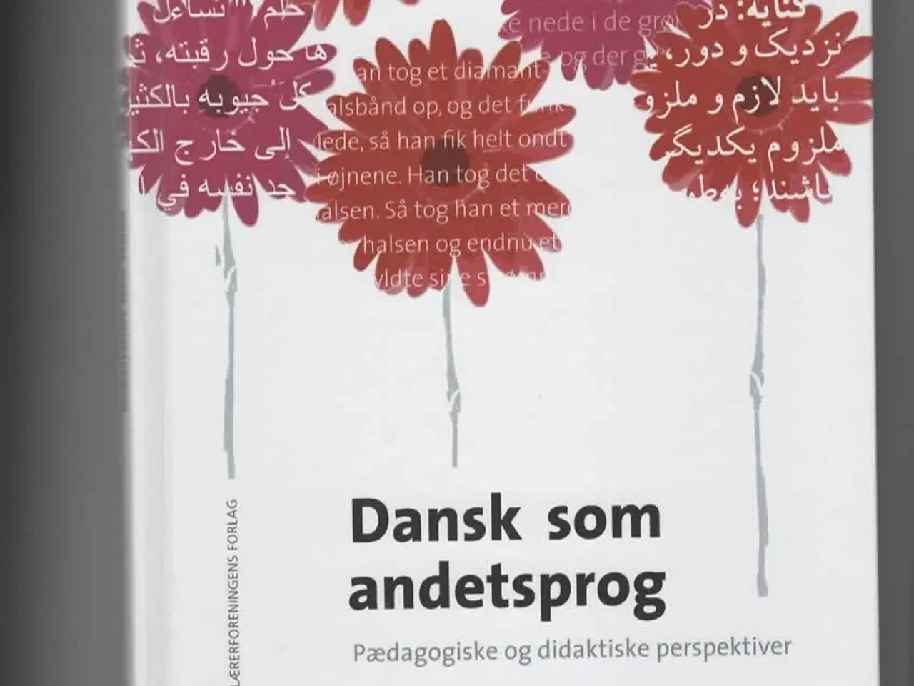 Billede 1 - Dansk som andetsprog