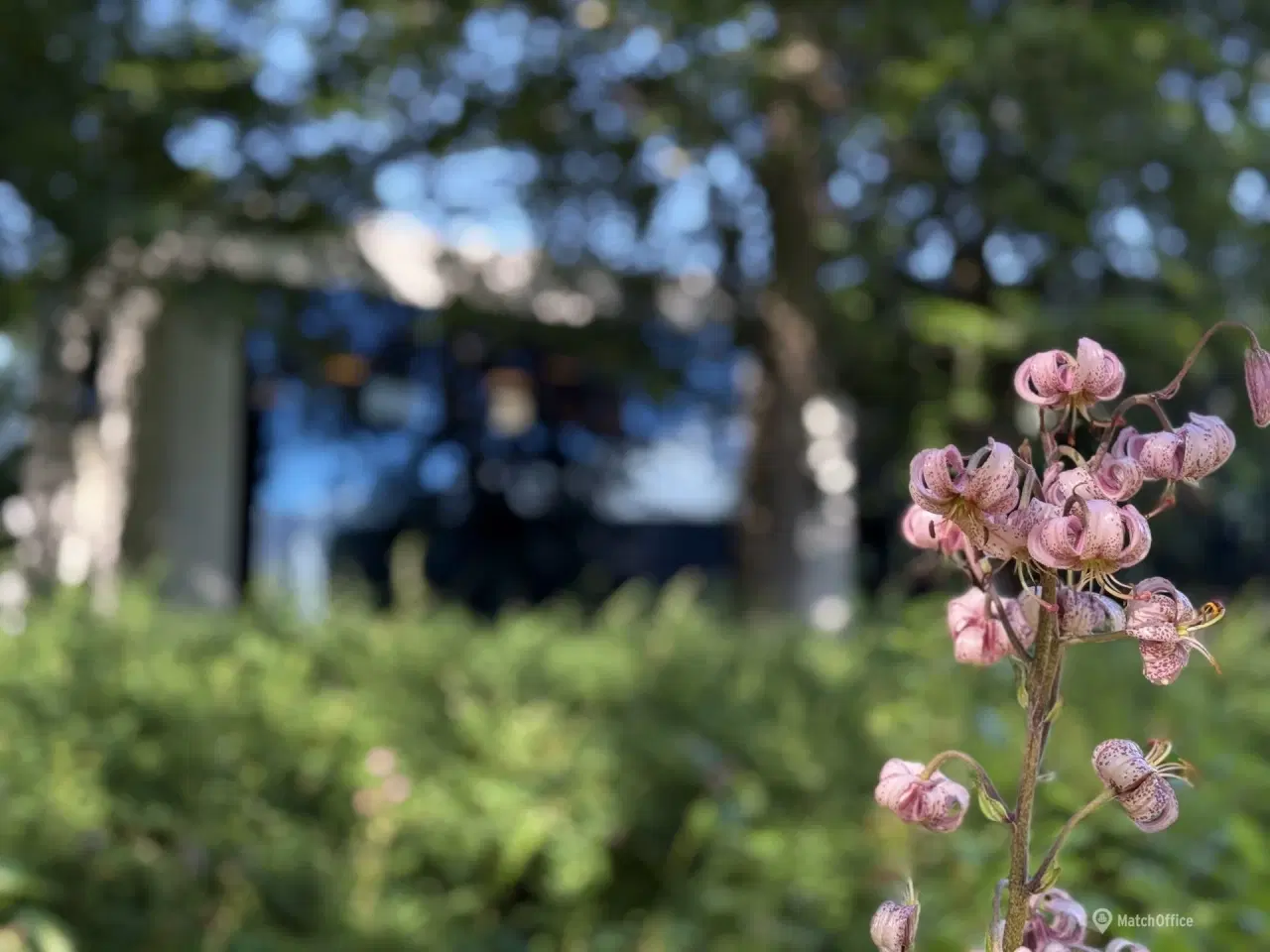 Billede 11 - Albertslunds flotteste kontor midt i en oase