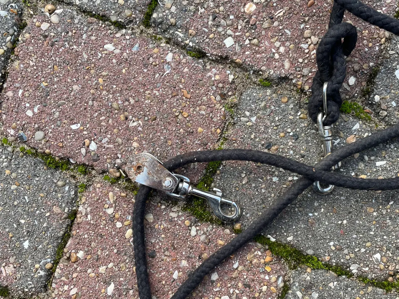 Billede 4 - Pessoa longerings system + underlag til gjor