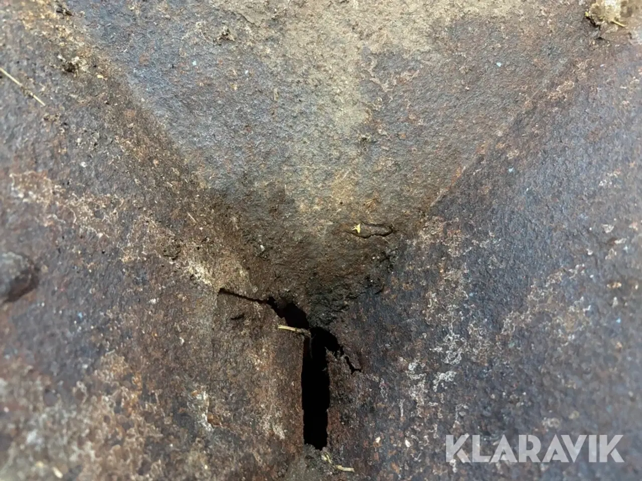 Billede 9 - Kornvalse Mica