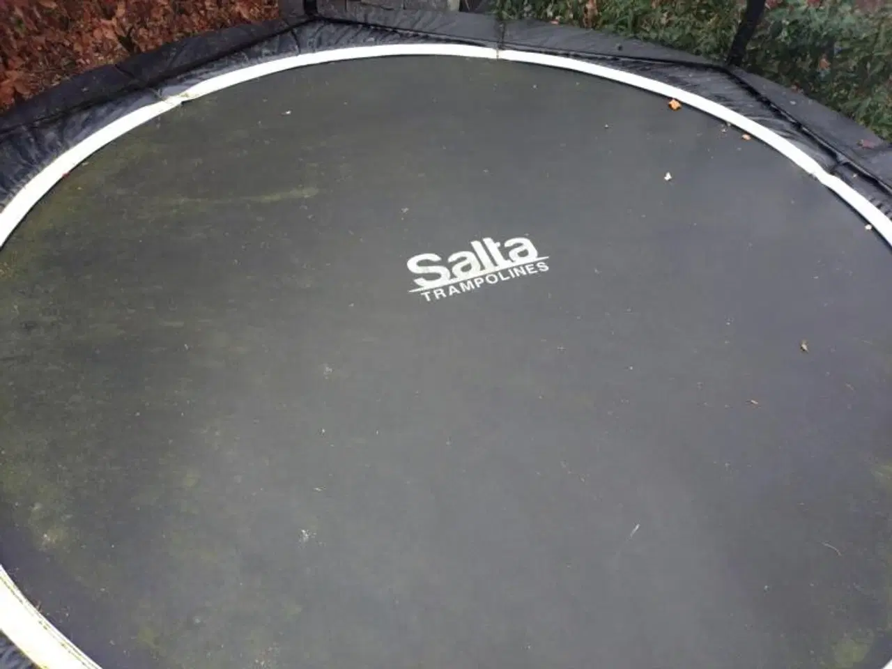 Billede 2 - Trampolin - Salta