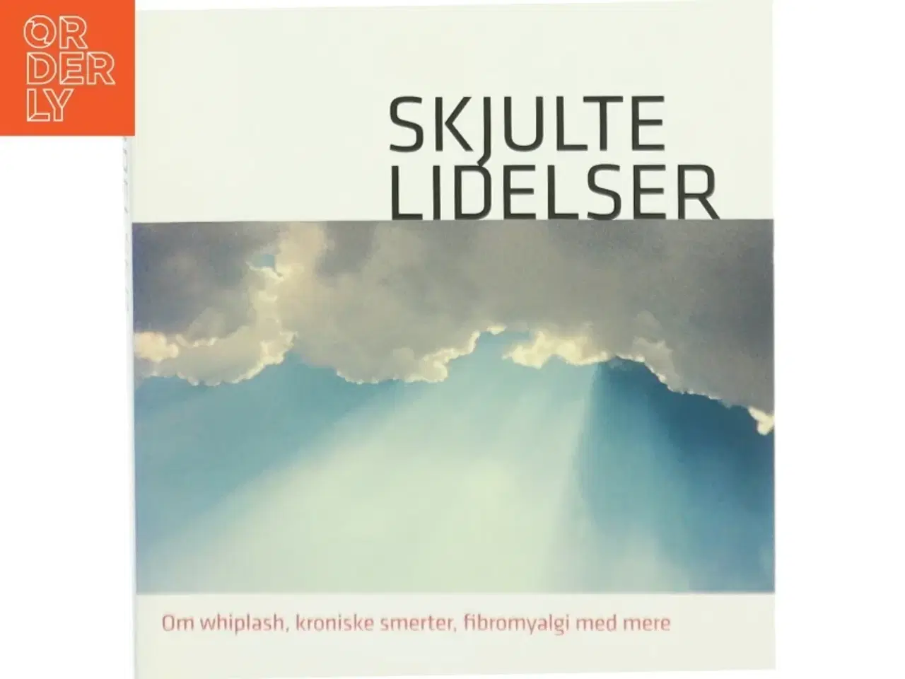 Billede 1 - Skjulte lidelser : om whiplash, kroniske smerter, fibromyalgi med mere (Bog)