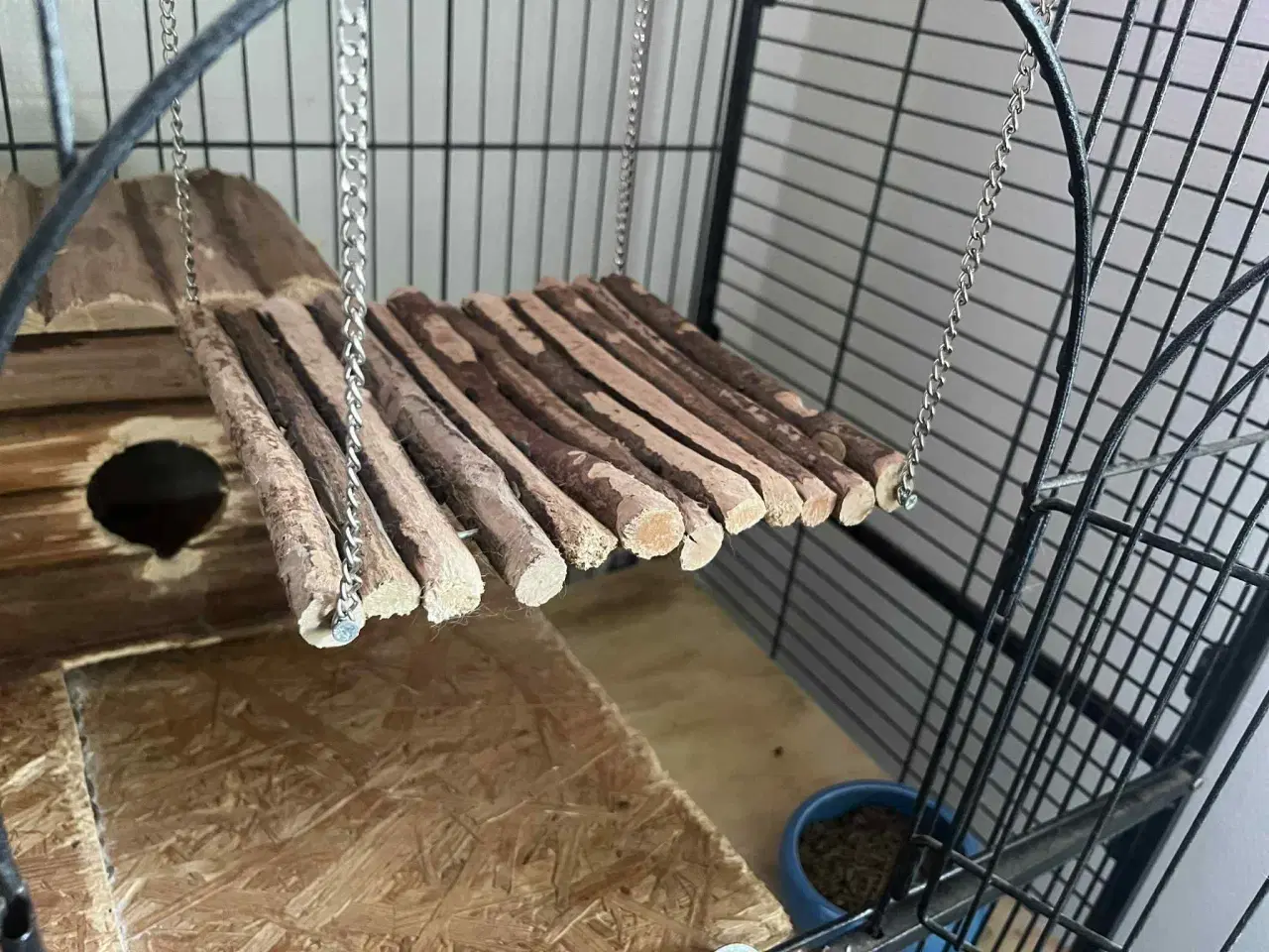 Billede 9 - Chinchilla med bur