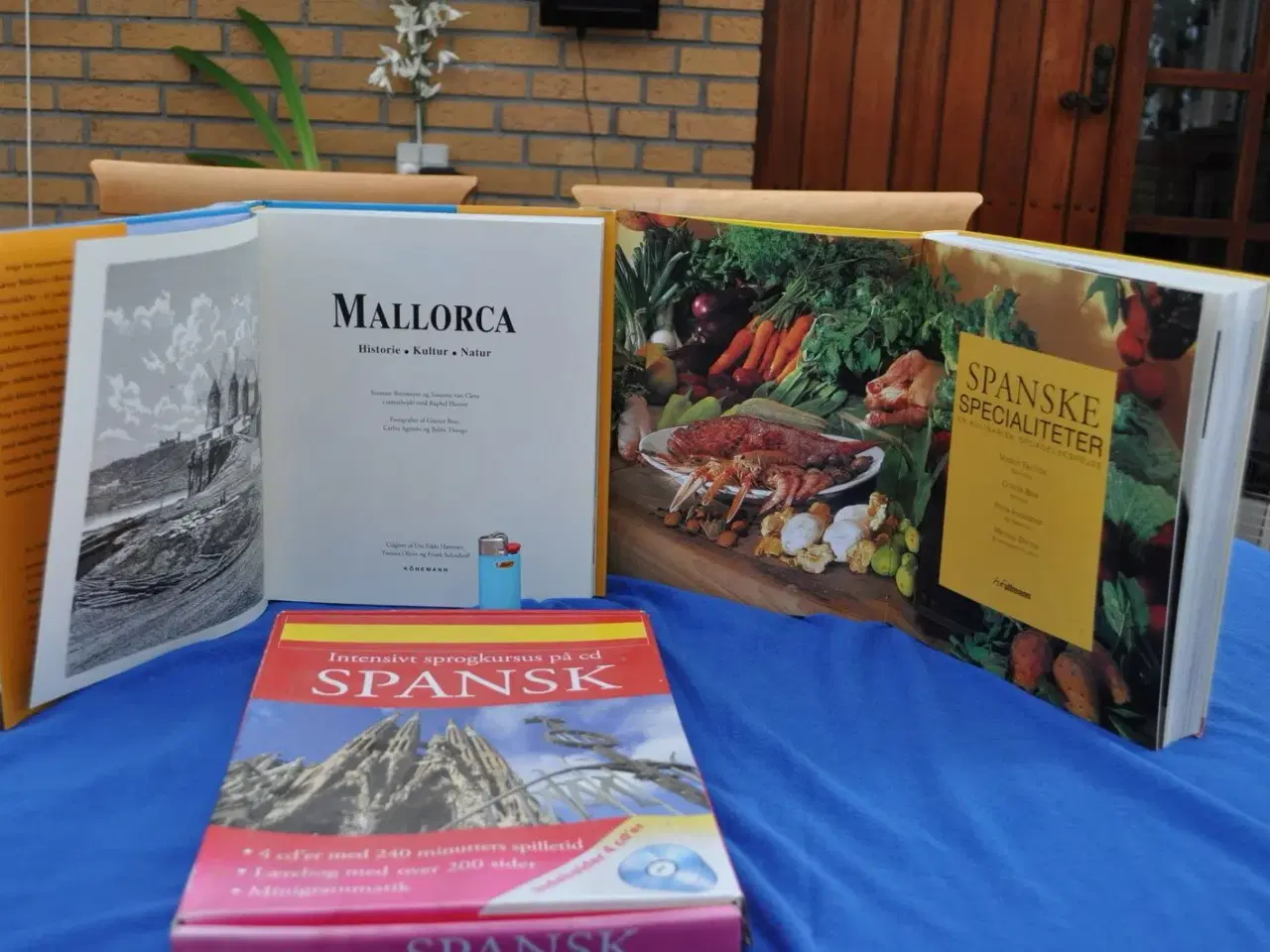 Billede 4 - SPANSK mad sprog Mallorca 1000 sider + 2 mere