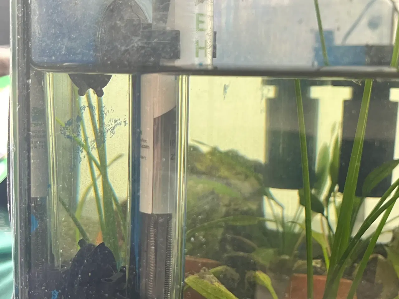 Billede 3 - Akvarie 54L