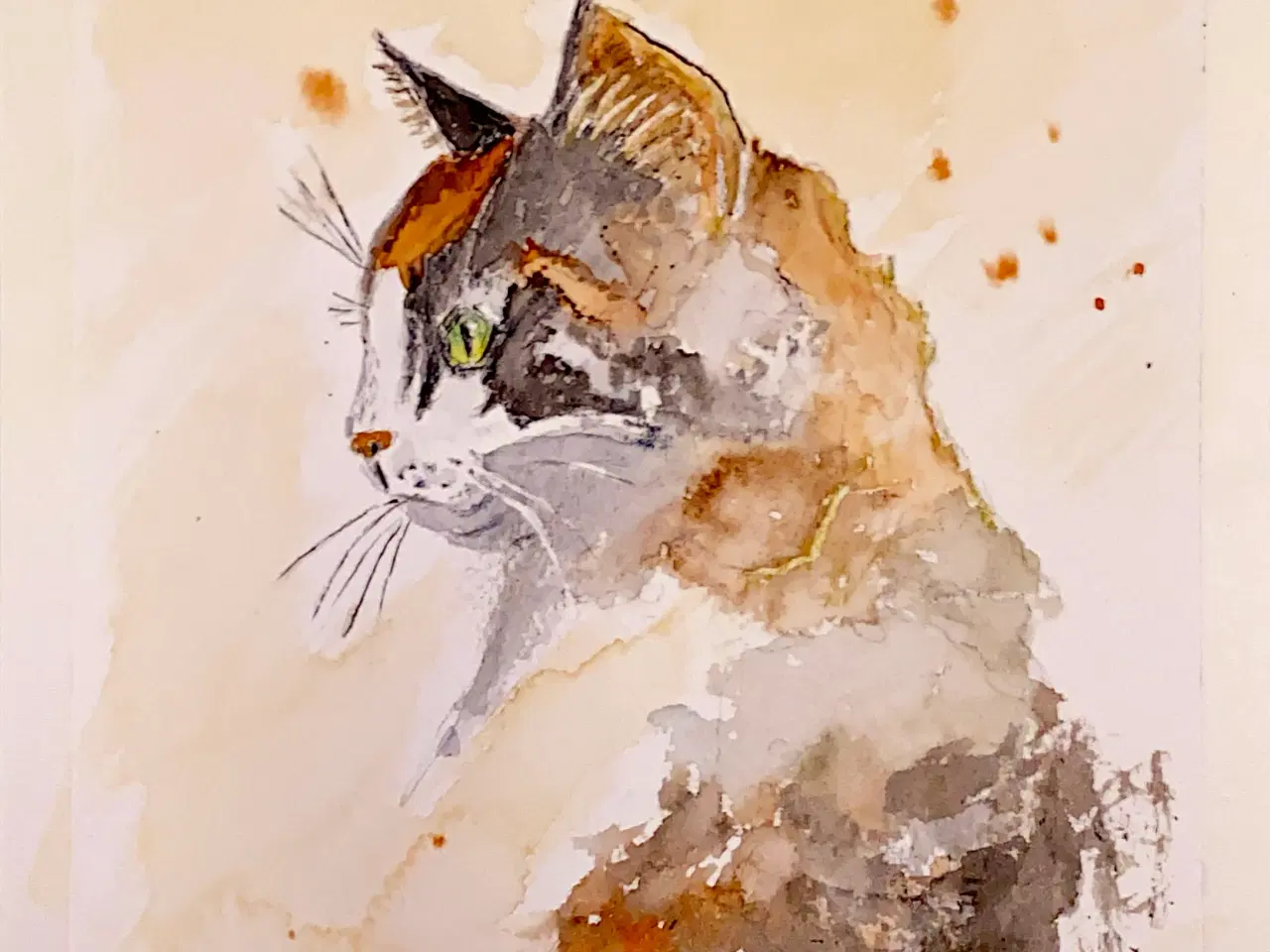 Billede 11 - Akvareller 