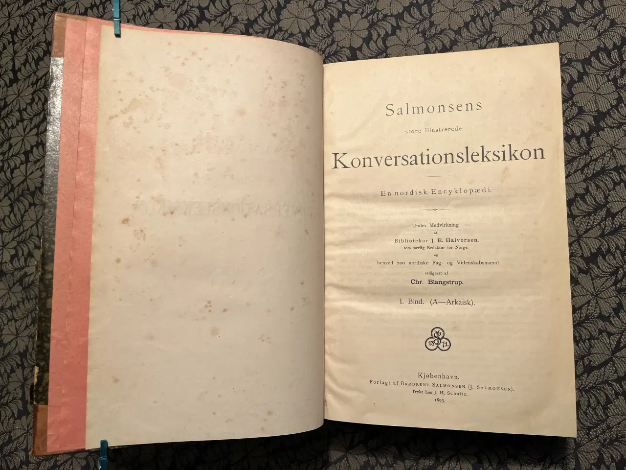 Billede 3 - Salomonsens leksikon 1. udgave komplet