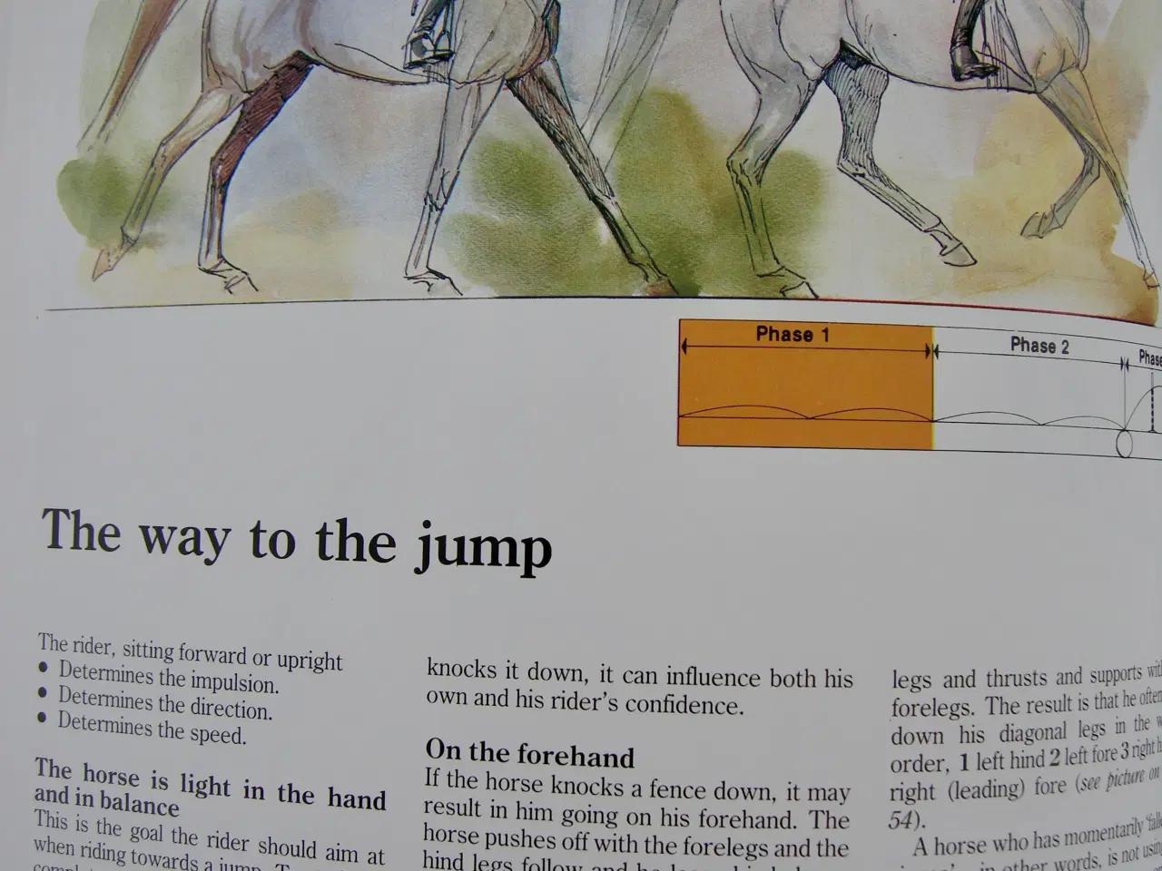 Billede 7 - THIS IS RIDING, Gunnar Hedlund, Hestebog engelsk 