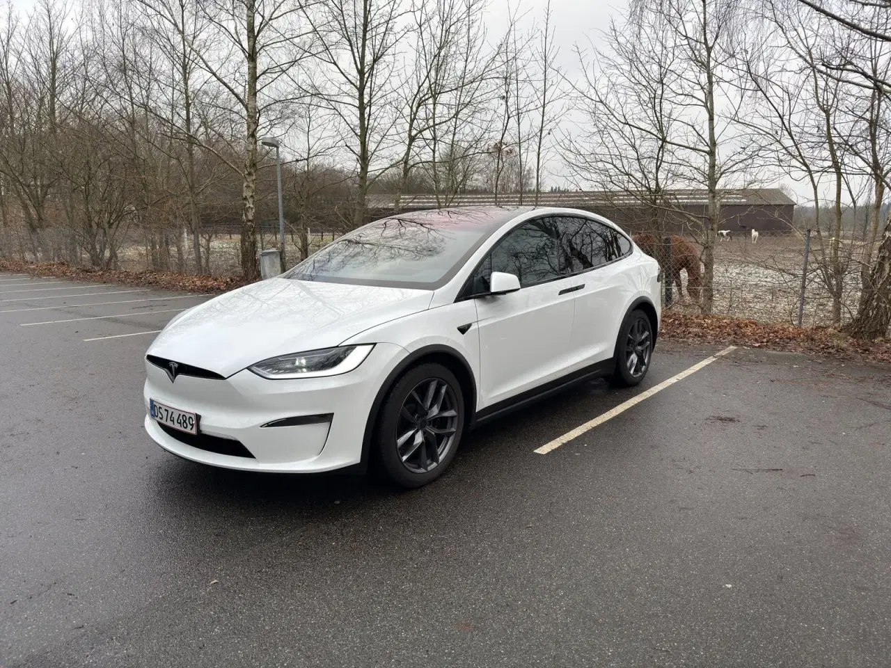 Billede 1 - Tesla Model X  Long Range AWD
