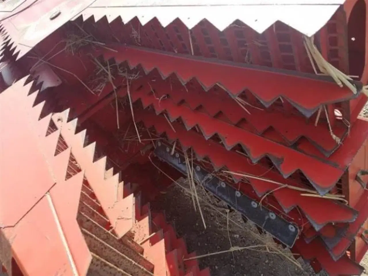 Billede 5 - Massey Ferguson Ryster 28480677