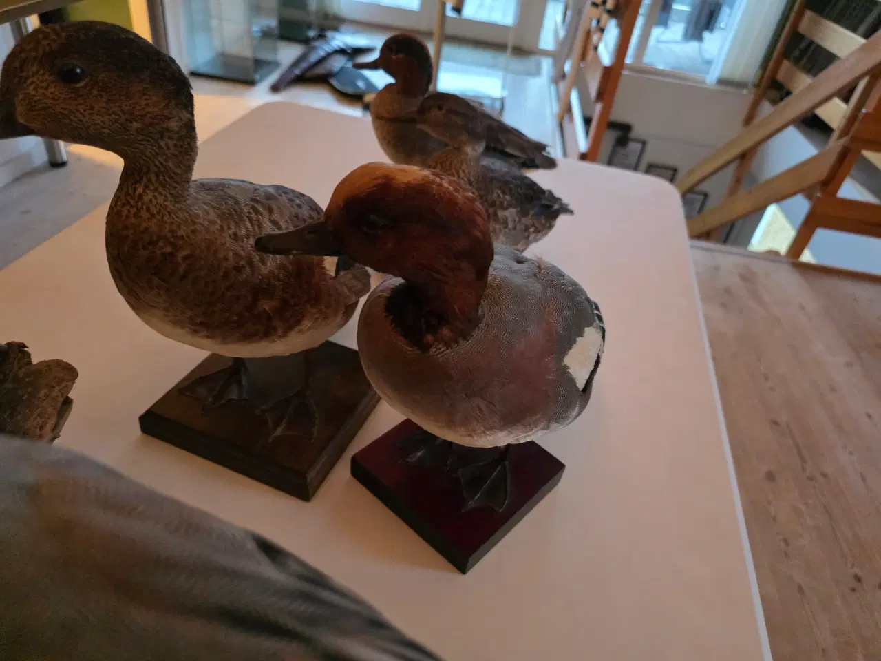 Billede 10 - Svømmeænder sælges samlet eller hver for sig