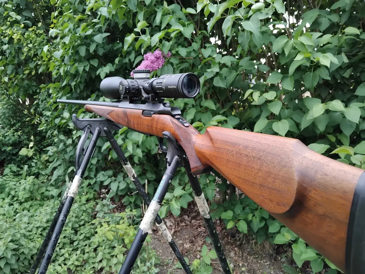 Billede 5 - Browning A-bolt 7mm Rem Mag 