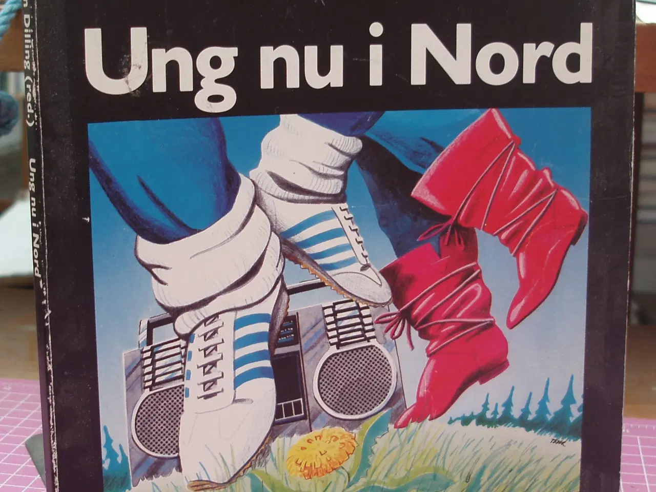 Billede 1 - Ung  nu i Nord