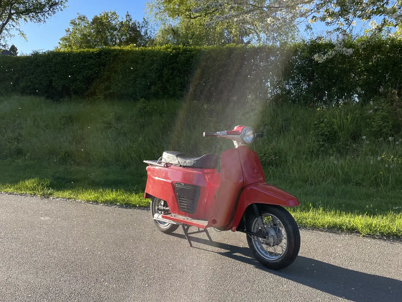 Billede 6 - Puch r50