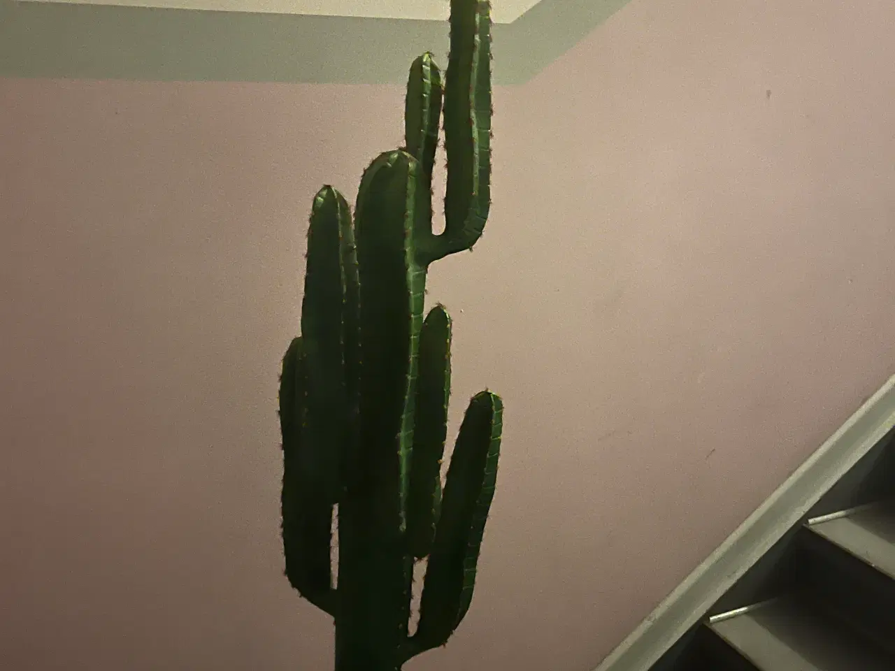 Billede 3 - Kunstig kaktus, 160 cm høj 
