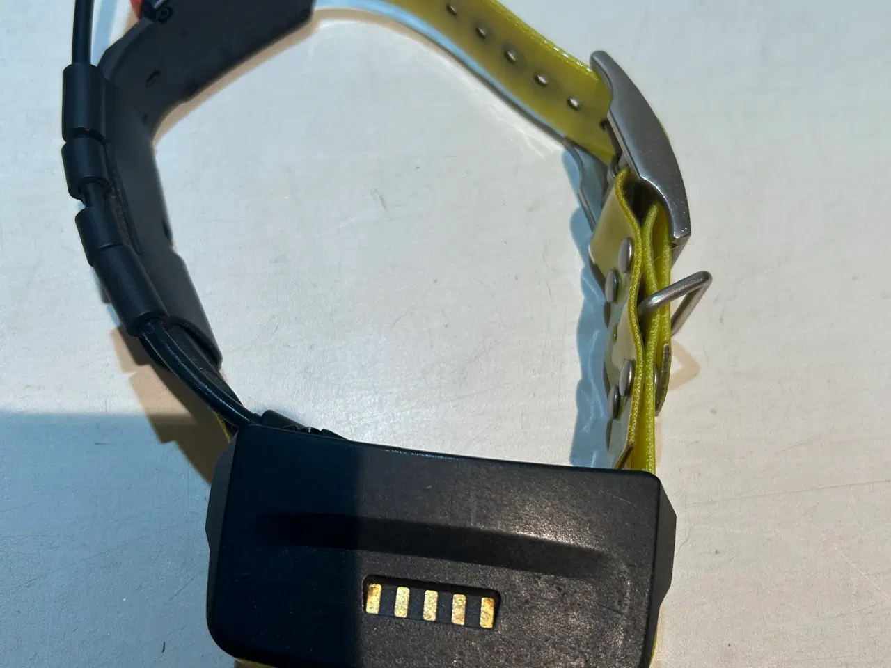 Billede 4 - Garmin GPS til hund Alpha 200 + T5X halsbånd