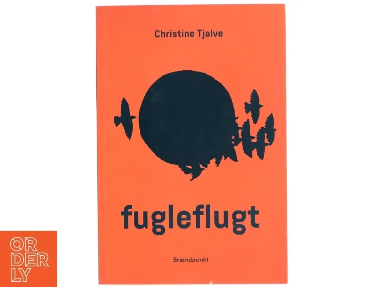 Billede 1 - Fugleflugt : roman af Christine Tjalve (Bog)