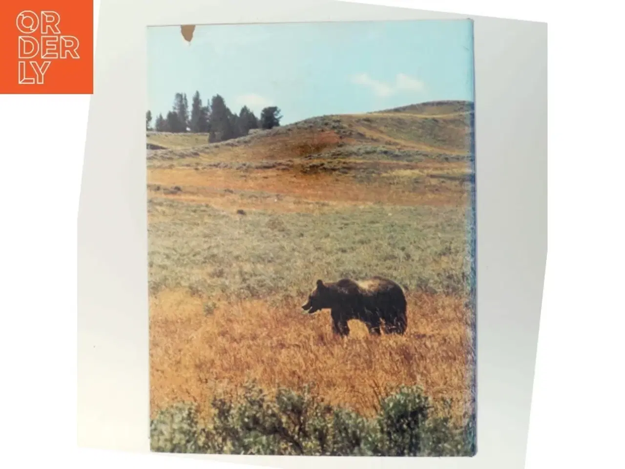 Billede 3 - Bog om Nordamerikas natur og dyreliv fra Life