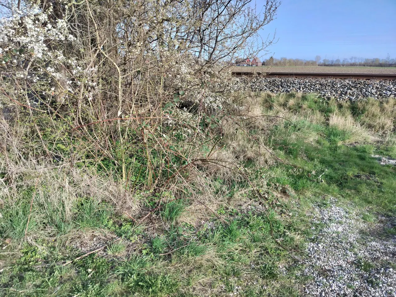 Billede 8 - Havemand søges 