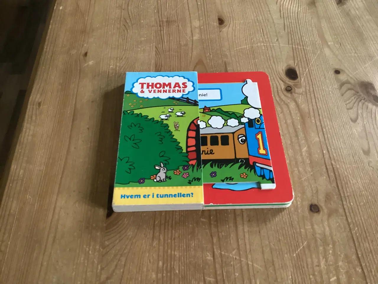 Billede 6 - Thomas Tog Bøger og DVD