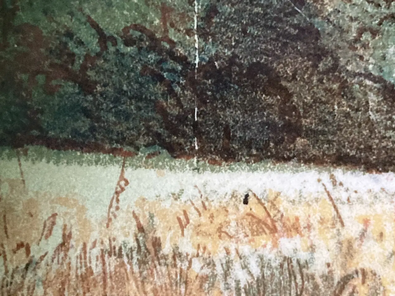 Billede 5 - Villeroy & Boch platte