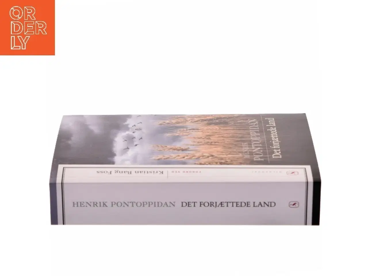 Billede 2 - Det forjættede land af Henrik Pontoppidan (Bog)