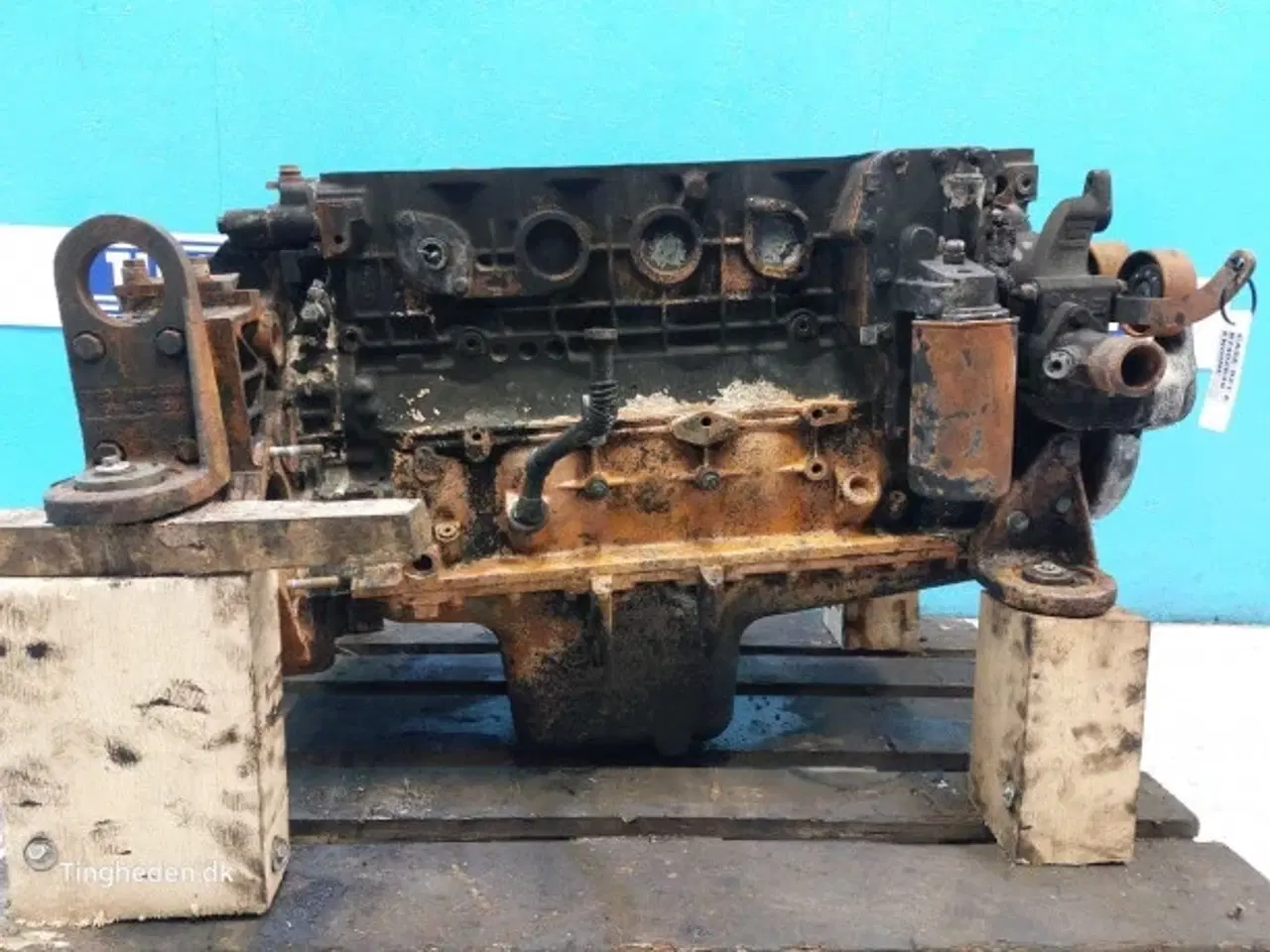 Billede 11 - Case 821E Motor 87452649