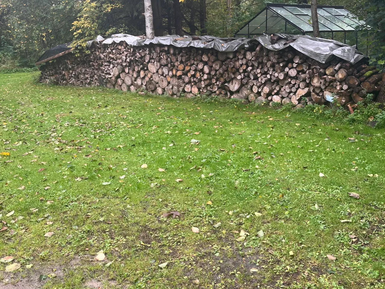 Billede 1 - Brænde løvtræ tørt 