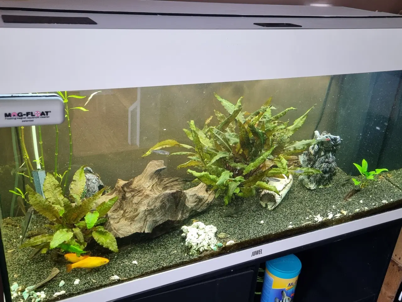 Billede 2 - Juwel akvarie, med underskab, 160L